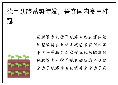 德甲劲旅蓄势待发，誓夺国内赛事桂冠